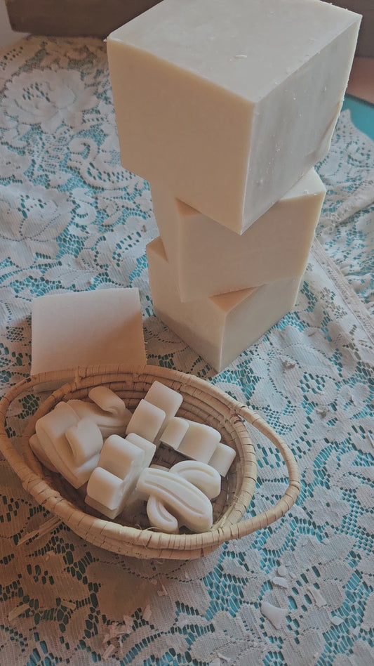 Premium Dish Soap Block | Peppermint