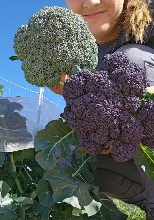 The Farmers Pen Pal - Pre order for April 5th Snail Mail Club