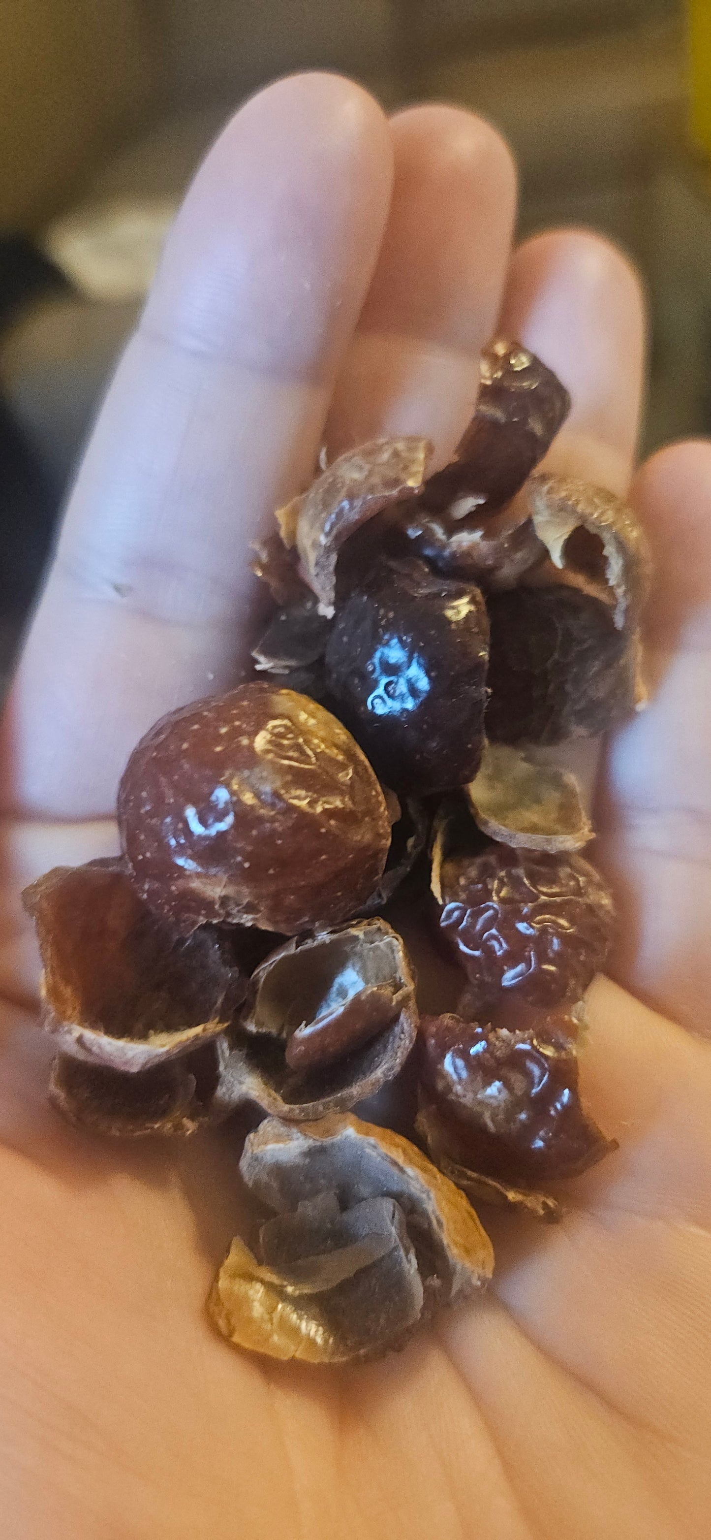 Laundry detergent - Soap Nuts 4oz